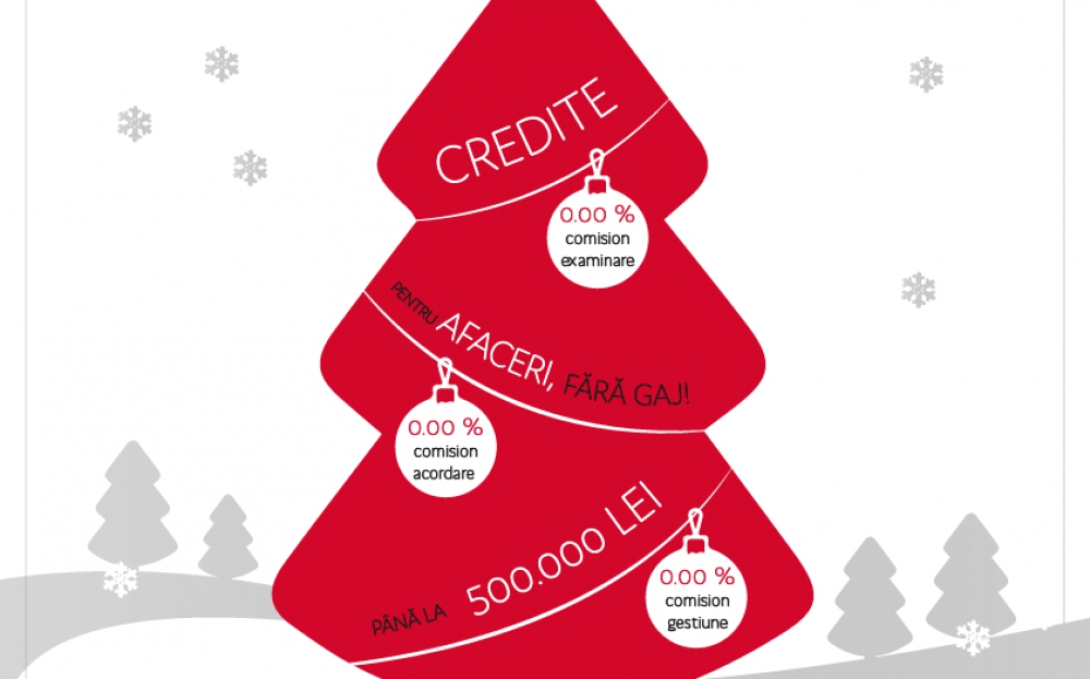 Ia un credit și PREGĂTEȘTE-ȚI AFACEREA DE SĂRBĂTORI!